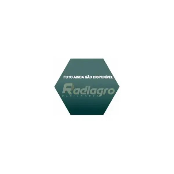 100000077597 Radiador de Água e Óleo Randon | PlantForte